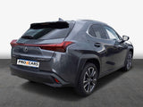 Lexus UX250h Style Edition