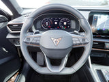 Cupra Formentor 2.0 TDI 4Drive